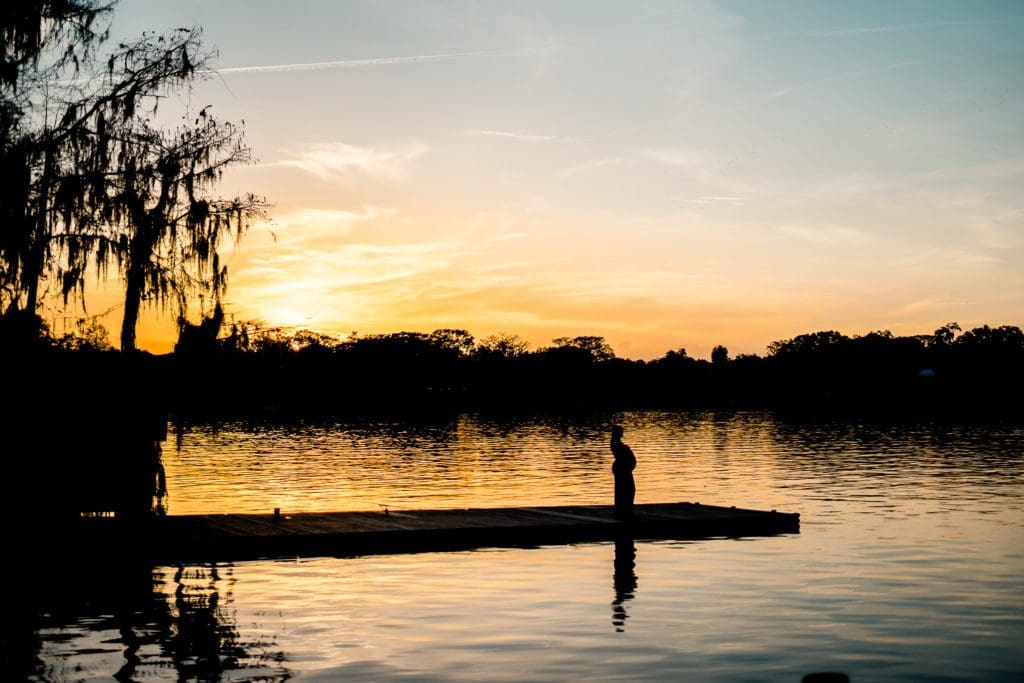 Azalea Kraft Garden sunset in winter park